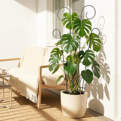 4 Pack 43'' Large Metal Plant Trellis for Climbing Plants - view 4