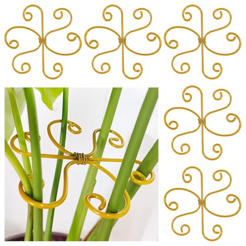 Monstera Plant Support Stakes for Indoor Plants, Gold, 5 Pack