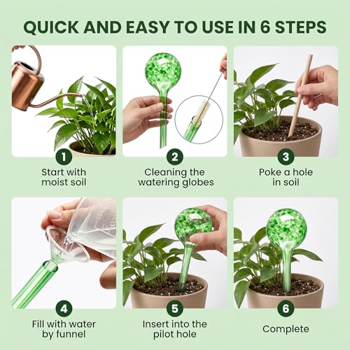 Self Watering Globes,6 Pack Plant Watering Globes,Plant Water Bulbs - view 3