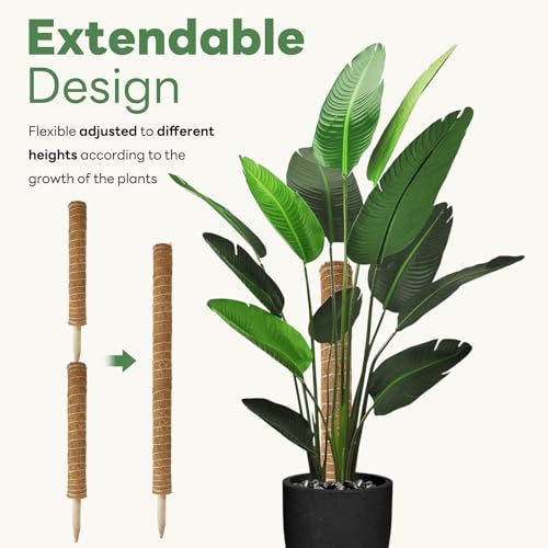 Moss Pole for Plants Indoor - 4 Pack Plant Poles for Climbing Plants - view 4