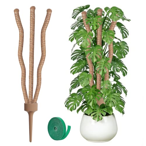 3 Moss Poles in 1, 30IN Tall Bendable Monstera Plant Support -1 Pack