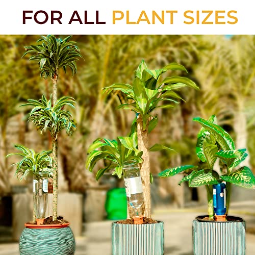 10-Pack Natural Self Watering Spikes - Terracotta - Automatic Plant Waterer for Indoor & Outdoor - view 3