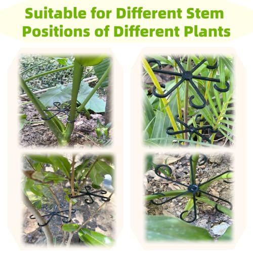 8 PCS Plant Stem Support, Plant Stakes for Indoor Plants Plant Clips for Climbing Plants, Plastic Monstera Plant Support Accessories for Potted Indoor Plant in Various Growth Stage(4 Sizes, 2 Colors) - view 4