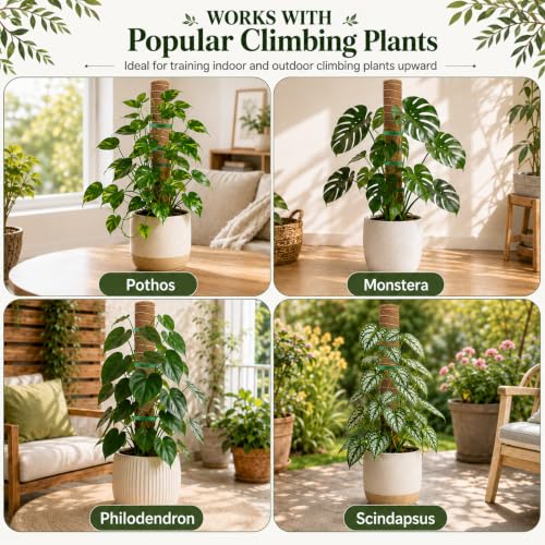 Moss Pole Monstera Plant Support, Extended to 48 Inch, 4 Pack 16 in - view 4
