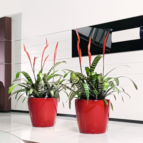 16027 Classico LS 21 Self-Watering Planter, Scarlet Red High Gloss - view 7