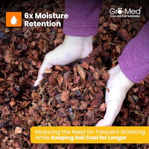 Coco Husk Chips 2s Brick Expands Upto 14 Quarts Coconut Coir Chip 2.2lb, Perfect for Plants, Gardening, Potting Soil Mix, Orchid Bark Alternative-OMRI Certified, Low EC, Balanced pH - view 4