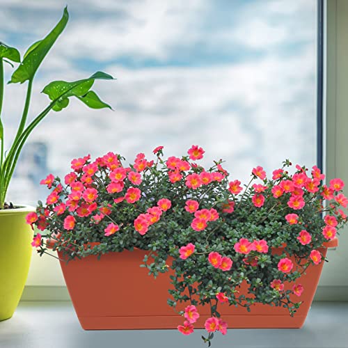 8pcs Window Box Planter,Rectangle Plastic Vegetable Flower Planters Boxes - view 3