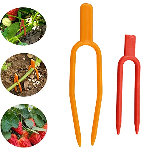 Gardening Plant Fixing Clips Reusable Garden Strawberry Fork Used for Fixing Vines Such as Flowers, Strawberries and Watermelons (120 Each for red and Orange) -240PCS - view 6