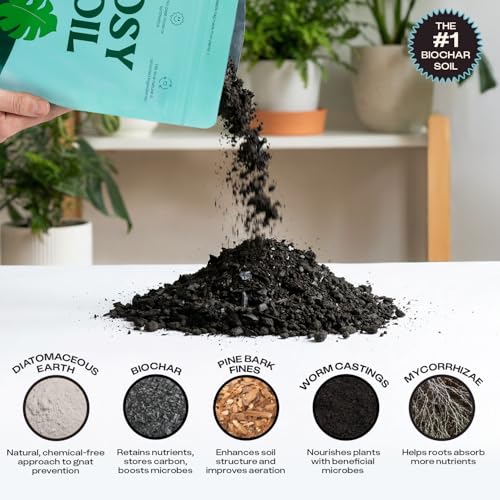 Houseplant Potting Soil, Organic Indoor Potting Mix, 4 Qt, 2 Pack - view 4