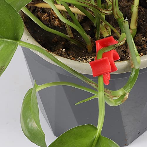30 Pack Plant Bender Angle Adjustable Plant Training Clips Low Stress Training Clips 90 Degrees Plant Stem(Circle Style,Red) - view 6