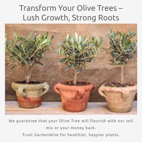Organic Olive Tree Potting Mix – Fast-Draining, Nutrient-Rich Soil for Indoor & Outdoor Olive Trees – Mediterranean Plant Care – Long-Lasting Formula (4 QUARTS) - view 7