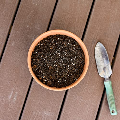 Potting Soil for Ferns (8 Quarts), Hand Blended Soil Mixture for Planting and Re-Potting Indoor and Outdoor Ferns - view 2