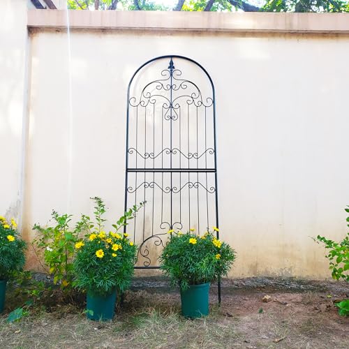 Wrought Iron Garden Trellis for Climbing Plants, 70.8" H x 25.6" W - view 2