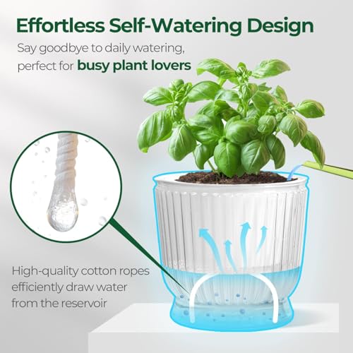 Self Watering Pots for Indoor Plants 4.5 Inch 4 Pack Planter Clear - view 4