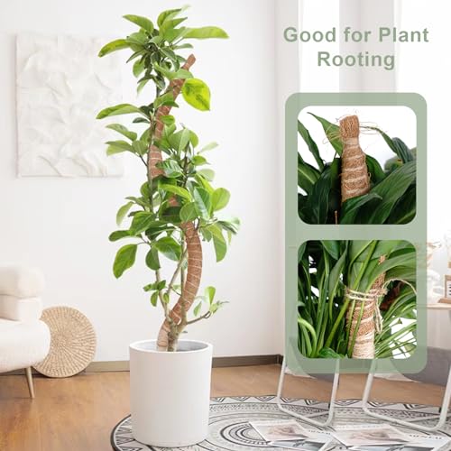 60 Inch Moss Pole, Bendable Moss Pole for Plants Monstera, Tall Moss Poles for Climbing Plants Indoor, Large Support, Garden Trellis Stick Stakes for Plants - view 2