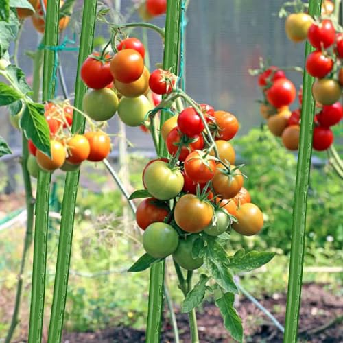 Garden Stakes 48 Inches Sturdy Green Plant Sticks 25 Pack, Metal Tomato Stakes Support, Yard Plant Support Cage for Potted Plants, Tomatoes, Trees, Cucumber, Fences, Beans (48 inch) - view 3