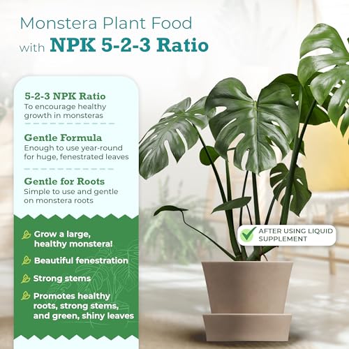 Monstera Growth Power-Duo Bundle – Silica Strength (4.5% Potassium Silicate) + Monstera Plant Food (5-2-3 NPK) | Builds Stronger Stems & Lush Leaves | 2 × 8 oz Concentrates - view 7