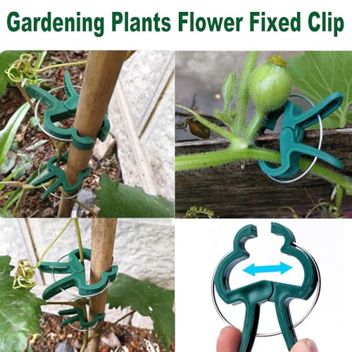 80PCS Garden Plant Supports Clips, 2 Sizes Adjusting Reusable Plant Clips for Supporting Stems of Flower Vine Vegetables Tomatoes Climbing - view 4