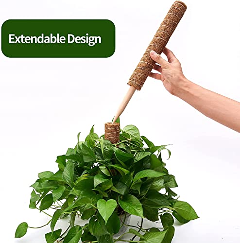 101in Moss Pole for Plants Monstera 8 Pcs - view 4