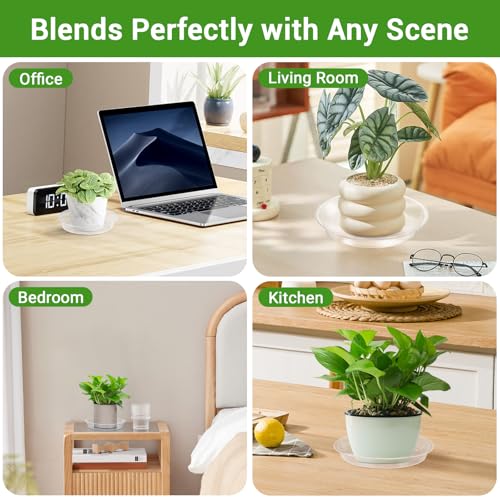 Plastic Plant Saucer, 6 Inch Planter Trays for Indoor Plants, Thicker Plant Water Drip Trays for pots, Planter Saucer for Indoors and Outdoor, Plant Container Accessories - view 6