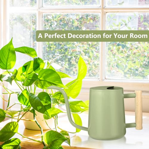 Watering Can Indoor Plants, 35oz Small Indoor Stainless Steel Metal Watering Can Modern Decorative Watering Pot with Long Spout for Indoor House Plant Bonsai Garden Flowers (Sage Green) - view 3