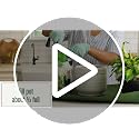 Houseplant Potting Mix, 4 qt. - view 7