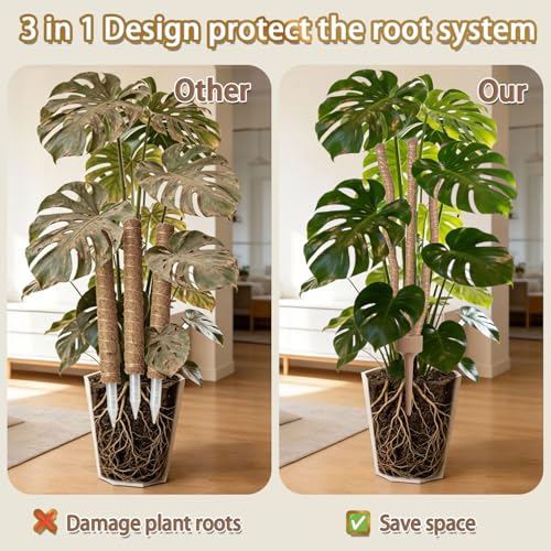 3 Moss Poles in 1, 30IN Tall Bendable Monstera Plant Support -1 Pack - view 3
