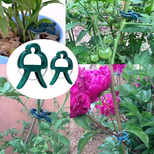 80PCS Garden Plant Supports Clips, 2 Sizes Adjusting Reusable Plant Clips for Supporting Stems of Flower Vine Vegetables Tomatoes Climbing - view 6