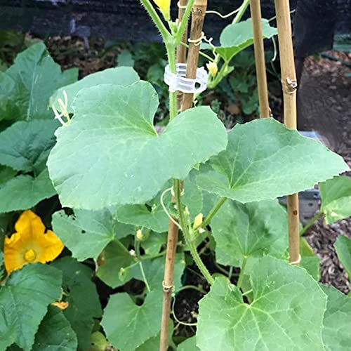 20 Pcs 18 Inch Natural Bamboo Plant Support Stakes for Indoor Plants, Bamboo Sticks Poles Garden Bamboo Stakes for Potted Plants, Tomato, Beans - view 5
