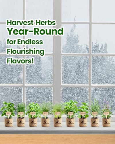 Gift for Women, Mom, Her – 9 Herb Indoor Window Garden Kit | Complete Herb Seeds Starter Set with Pots, Soil, Tools & Markers | Heirloom Herbs | Birthday, Housewarming, New Home, Mother's Day - view 6