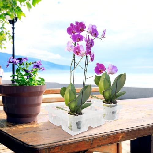 2pcs Grid Plastic Orchid Pot Tray Rack with Holes for Plant Root Care - view 5