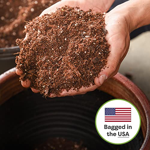 Snake Plant Soil, 4 qt, Coco Coir Potting Mix - view 6