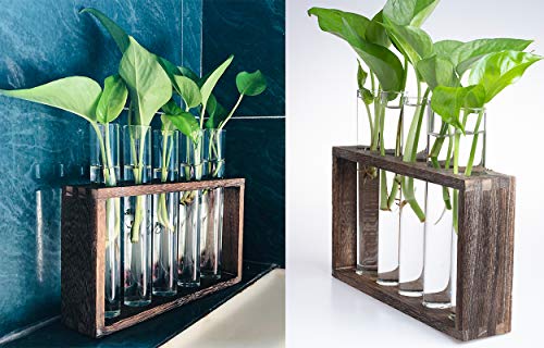 5 Tube Wooden Plant Propagation Station, Tabletop Glass Terrarium Holder for Cuttings Hydroponics, Home Office Desk Decor Gift for Women Mom Plant Lovers, Brown - view 3