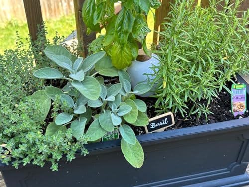 Plant Self Watering Globes - Terracotta Watering Spikes - Slow Release Olla Pots - Holds 14 oz - Drip Irrigiation Olla System - view 3