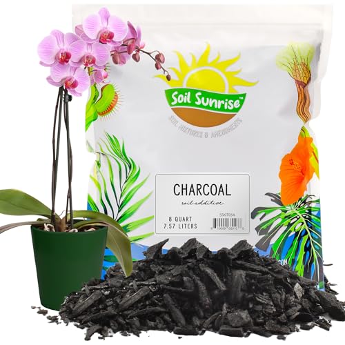 Horticultural Charcoal for Indoor Plants (8 Quarts) Hardwood Soil Additive for Orchids, Terrariums, and Gardening