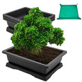 Large Bonsai Pots 3 Pack 14 Inch with Drainage Trays Training Pot