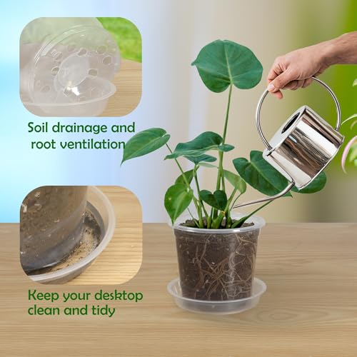 20 Pack 3 Inch Clear Nursery Pots with Drainage and 20 Pack Plant Saucers, Plant Pots for Plants Transparent Potting Containers for Plants Seeding Starter Pot (Clear, 3 Inch) - view 4