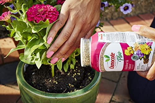 Smart-Release Plant Food Plus Outdoor & Indoor1 - Granular, Continuous Release Plant Fertilizer with 11 Essential Nutrients, 1 lb. (Pack of 12) - view 4
