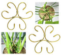 2 Pcs Gold Iron Monstera Support, Plant Support Stakes for Indoor Plants