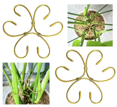 2 Pcs Gold Iron Monstera Support, Plant Support Stakes for Indoor Plants
