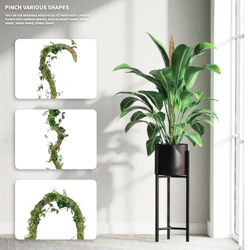 28" Bendable Plant Support Moss Pole 3 Pack for Climbing - view 6