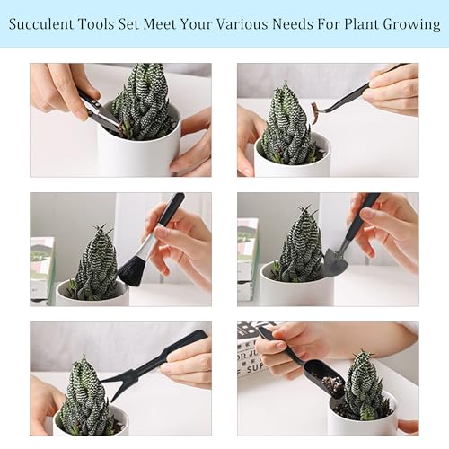 13Pcs Succulent Tools Set Mini Garden Tools Kit for Indoor Bonsai Cactus Care with Pruning Shears Scissors Transplanting Tools for Houseplant - view 5