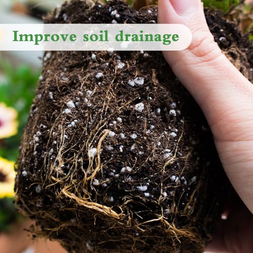 Perlite 8QT, Premium Organic Perlite for Plants, Perlite for Plants Indoor - view 4