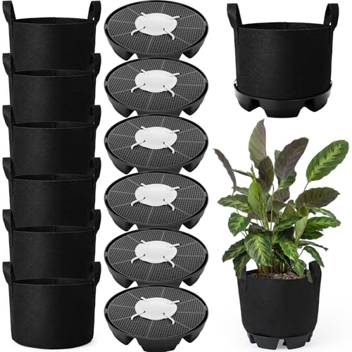 6 Set 5 Gallon Grow Bag Self Watering Fabric Pot Base Automatic Watering System Plant Nonwoven Grow Bag Handle Plant Saucer Elevate Flower Tray for Garden Indoor Outdoor Greenhouse (Black)