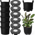 6 Set 5 Gallon Grow Bag Self Watering Fabric Pot Base Automatic Watering System Plant Nonwoven Grow Bag Handle Plant Saucer Elevate Flower Tray for Garden Indoor Outdoor Greenhouse (Black)