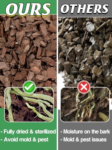 8qt Orchid Bark from New Zealand Pine - 1/2-3/4" Organic Sun-Dried Bark Nuggets Mulch, Breathable Potting Medium for Indoor Plants Root Health - view 2