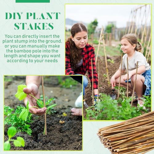 100 Pcs Bamboo Plant Stakes Natural Garden Support Sticks,2 ft - view 5
