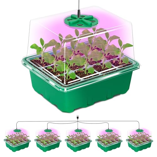 Seed Starter Trays with 12-LED Grow Lights, Green, 5 Pack
