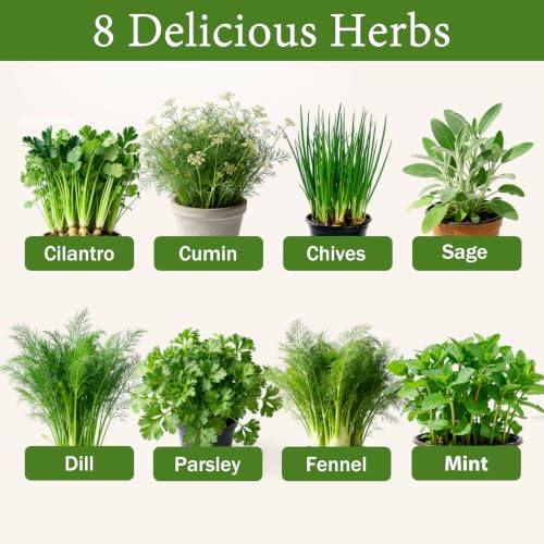 Indoor Herb Garden Kit, Complete Herb Starter Growing Kit with Seeds & Tools, Unique Christmas Birthday Gifts for Women Men Mom Dad, House Warming New Home Kitchen Gifts for Plant Lovers - view 4
