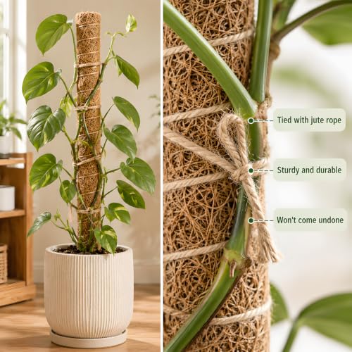 4 Pcs 15in Stackable Support，Moss Poles for Climbing Plants - view 5